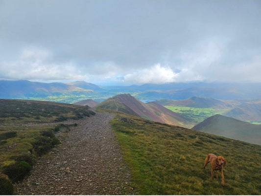 Penny on the ridge above the Newlands fells during the extended Coledale Horseshoe
